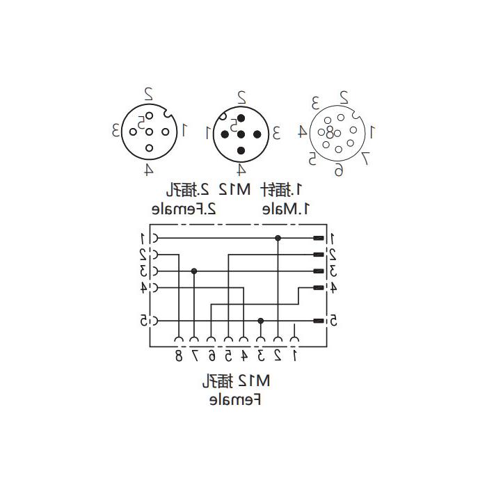 M12 8Pin母/M12 5Pin公+M12 5Pin母，y型连接器，648551